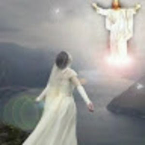 Meet your Posher, Letitia